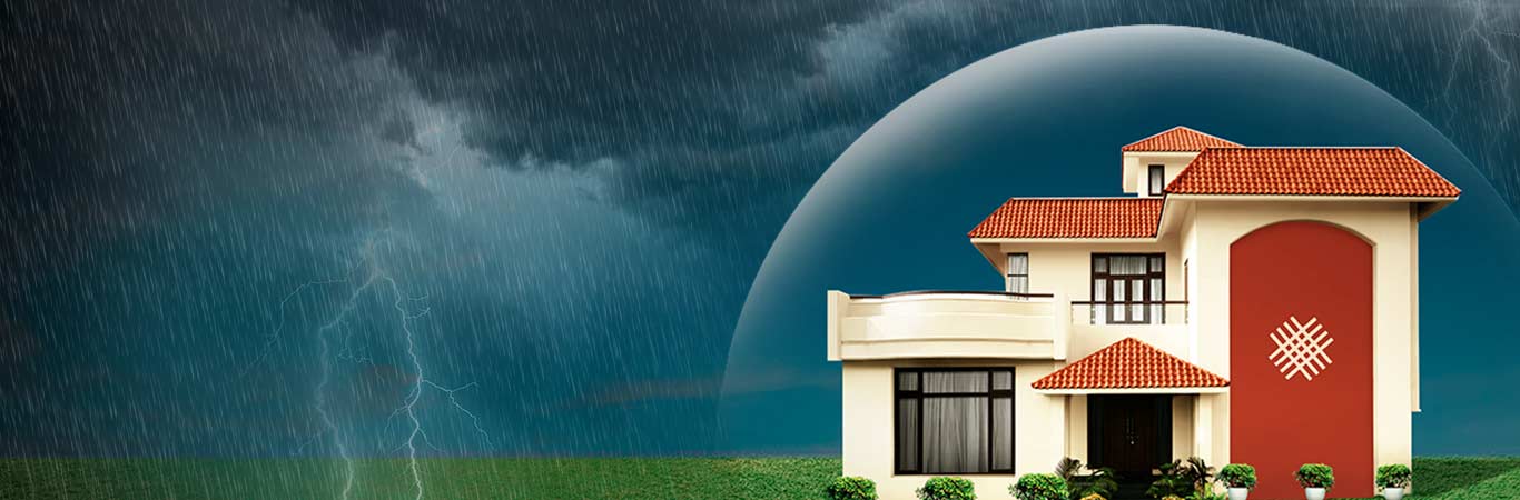 apex-weather-proof-exterior-emulsion-spotlight-banner.jpeg